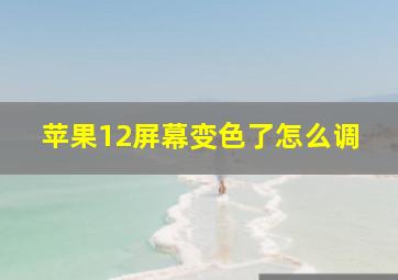 苹果12屏幕变色了怎么调