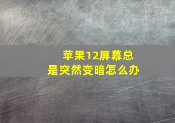 苹果12屏幕总是突然变暗怎么办