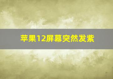 苹果12屏幕突然发紫