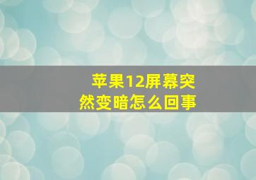 苹果12屏幕突然变暗怎么回事