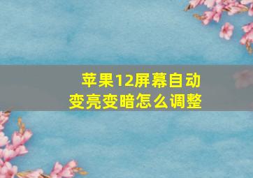 苹果12屏幕自动变亮变暗怎么调整