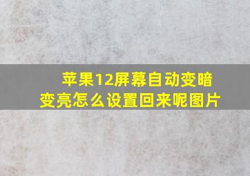 苹果12屏幕自动变暗变亮怎么设置回来呢图片