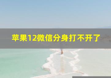 苹果12微信分身打不开了