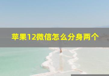 苹果12微信怎么分身两个