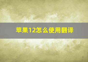 苹果12怎么使用翻译