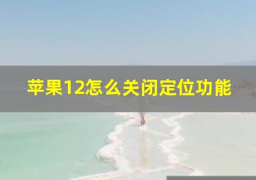 苹果12怎么关闭定位功能