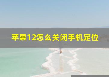 苹果12怎么关闭手机定位