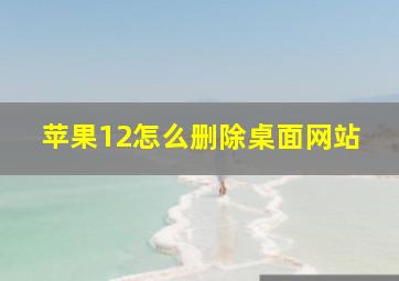 苹果12怎么删除桌面网站