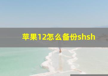 苹果12怎么备份shsh