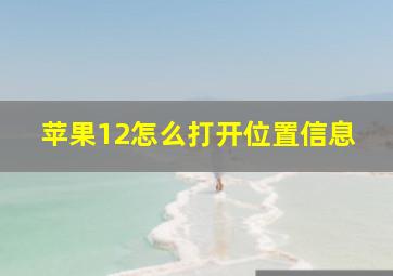 苹果12怎么打开位置信息