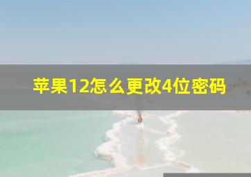 苹果12怎么更改4位密码