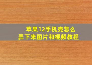 苹果12手机壳怎么弄下来图片和视频教程