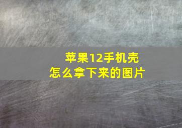 苹果12手机壳怎么拿下来的图片