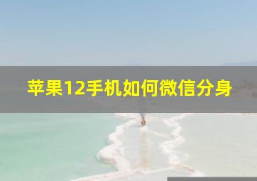 苹果12手机如何微信分身