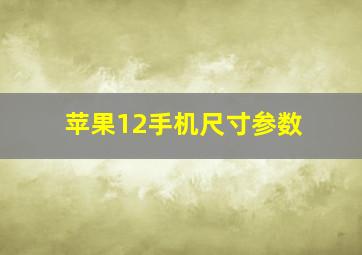 苹果12手机尺寸参数