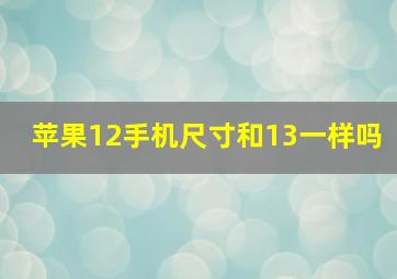 苹果12手机尺寸和13一样吗