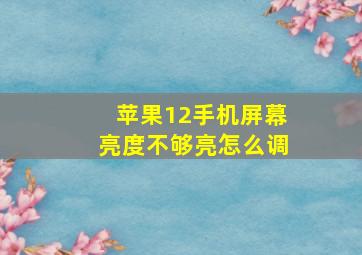 苹果12手机屏幕亮度不够亮怎么调