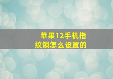 苹果12手机指纹锁怎么设置的