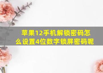 苹果12手机解锁密码怎么设置4位数字锁屏密码呢