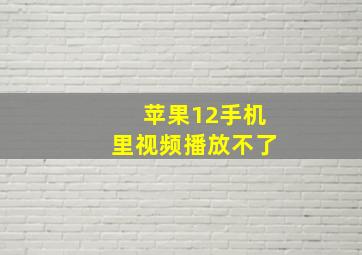 苹果12手机里视频播放不了