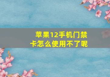 苹果12手机门禁卡怎么使用不了呢