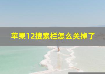 苹果12搜索栏怎么关掉了