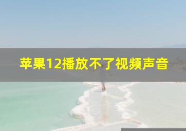 苹果12播放不了视频声音