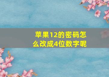 苹果12的密码怎么改成4位数字呢