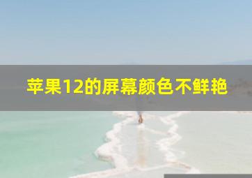 苹果12的屏幕颜色不鲜艳