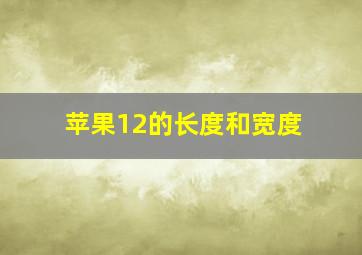 苹果12的长度和宽度