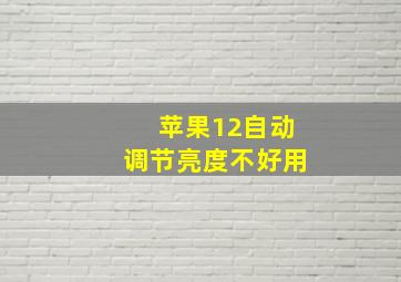 苹果12自动调节亮度不好用