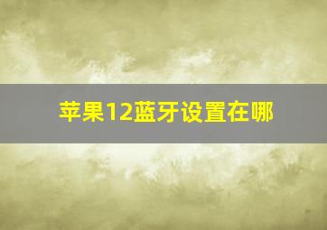 苹果12蓝牙设置在哪