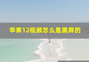 苹果12视频怎么是黑屏的