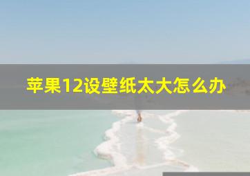 苹果12设壁纸太大怎么办