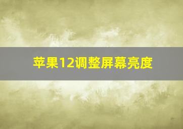 苹果12调整屏幕亮度