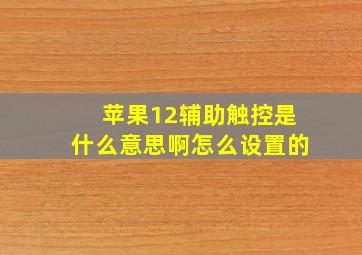 苹果12辅助触控是什么意思啊怎么设置的