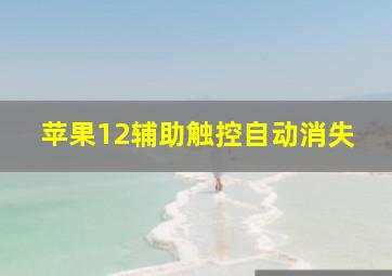 苹果12辅助触控自动消失