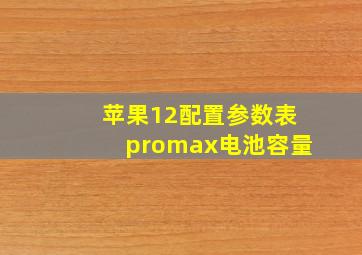 苹果12配置参数表promax电池容量