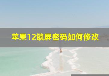 苹果12锁屏密码如何修改