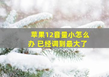 苹果12音量小怎么办 已经调到最大了