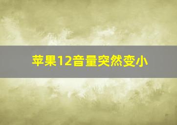 苹果12音量突然变小