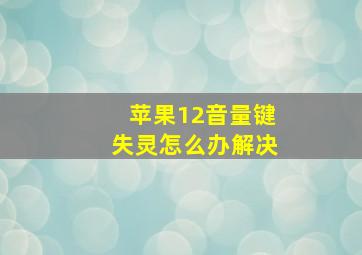 苹果12音量键失灵怎么办解决