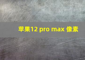 苹果12 pro max 像素