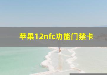 苹果12nfc功能门禁卡