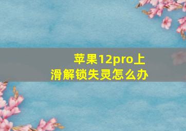 苹果12pro上滑解锁失灵怎么办