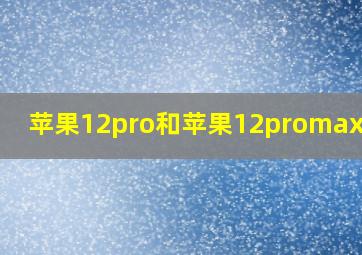 苹果12pro和苹果12promax参数