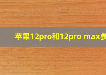 苹果12pro和12pro max参数