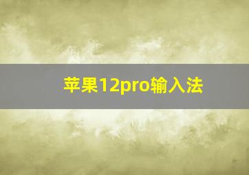 苹果12pro输入法