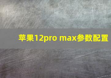 苹果12pro max参数配置