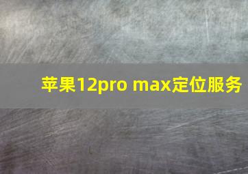 苹果12pro max定位服务